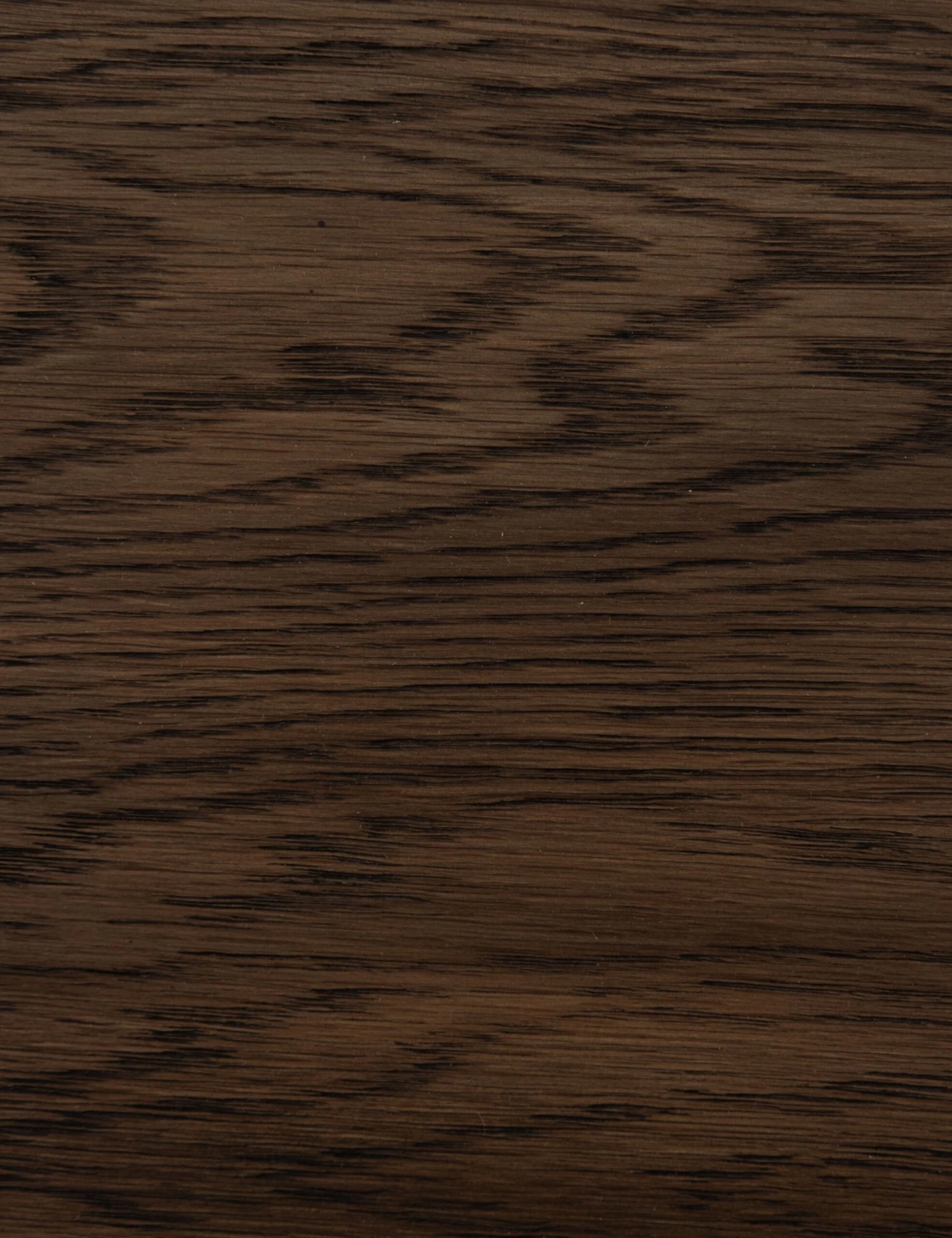 Rian Dining Chair - Image 7