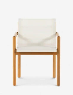 Charise Indoor / Outdoor Dining Chair