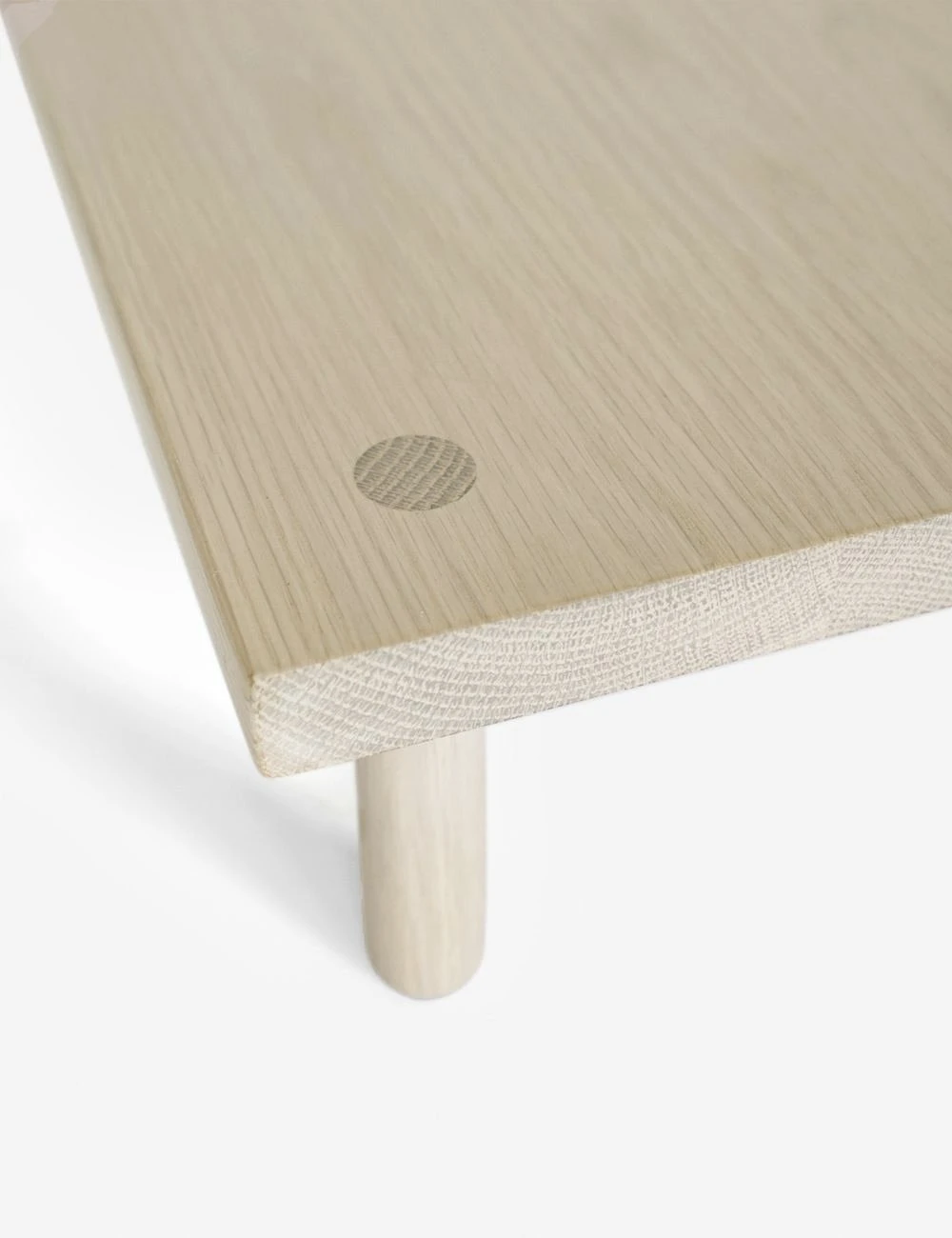 Yucca Stand By Sun At Six - Image 7