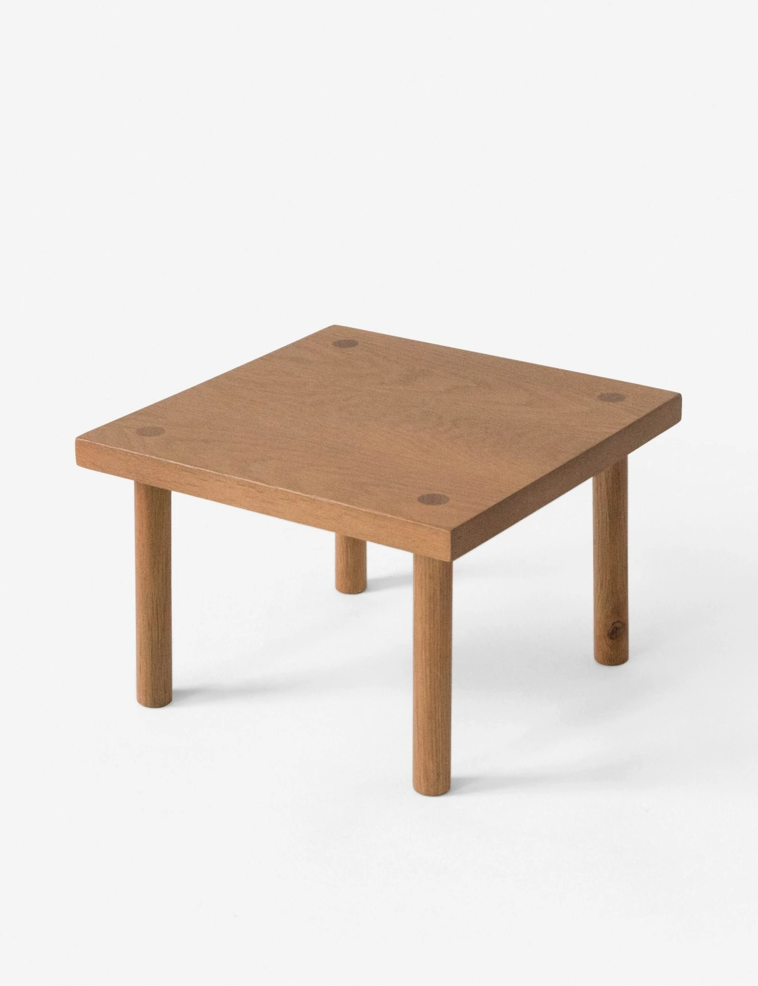 Yucca Stand By Sun At Six - Image 10